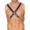 Image de Harnais Chain