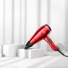 Image de Sèche cheveux professionnel Valera Swiss Power4ever 2400 W TU