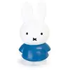 Image de Peluche classique AP Junior Tirelire 19 cm