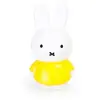 Image de Peluche classique AP Junior Tirelire 19 cm