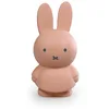 Image de Tirelire Miffy Warm Atelier Pierre Junior 19 cm TU