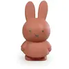 Image de Tirelire Miffy Warm Atelier Pierre Junior 19 cm TU