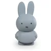 Image de Tirelire Miffy Warm Atelier Pierre Junior 19 cm TU