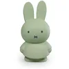 Image de Tirelire Miffy Warm Atelier Pierre Junior 19 cm TU