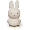 Image de Tirelire Miffy Warm Atelier Pierre Junior 19 cm TU