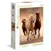 Image de Puzzle 1000 pièces Clementoni Animaux Chevaux pour adultes