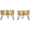 Image de Vase Mauro Ferretti Zanny (x2) 20,5x13-18x13 cm