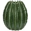 Image de Vase rond et pittoresque Mauro Ferretti Cactus Ball 28x31 cm
