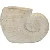 Image de Vase Mauro Ferretti Shell A 33x19x23 cm
