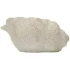 Image de Vase Mauro Ferretti Shell B 35x23x18 cm
