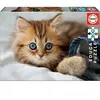 Image de Puzzle de 200 pièces Educa Gatito 23x30x8 cm
