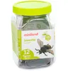 Image de Figurine Miniland Insect Animals (x12) TU