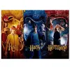 Image de Puzzle de 1000 pièces SD Toys Harry Potter Ron, Harry, Hermione 70x50 cm