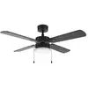 Image de Cecotec EnergySilence Aero 450 Fullblack Ventilateur de Plafond avec Lumière 50W Noir
