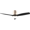 Image de Ventilateur de plafond Cecotec EnergySilence Aero 5600 Aqua 36 W