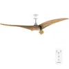 Image de Ventilateur Cecotec EnergySilence Aero 5295 54"