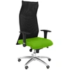 Image de Piqueras y Crespo Sahuco XL Bali Chaise de Bureau Pistache