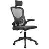 Image de Chaise ergonomique Mars Gaming Mgc-ergoplus, soutien lombaire, maille respirante, hauteur 115-125 cm, noir