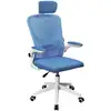 Image de Mars Gaming Mgc-ergoplus Chaise Ergonomique Soutien Lombaire Maille Respirante Hauteur 115-125cm Bleu