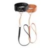 Image de Collier avec Laisse Maze