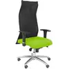 Image de Piqueras y Crespo Sahuco Bali Chaise de bureau pistache