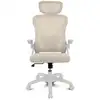 Image de Chaise ergonomique Drift DRAIR35 dossier maille base nylon blanche accoudoirs pliables