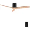 Image de Ventilateur Cecotec EnergySilence Aero 5400 Classic 52"