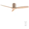 Image de Ventilateur de plafond Cecotec 52 pouces DC 40W 3 pales télécommande
