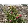 Image de Treillis extensible Nature en bambou 45 x 180 cm finition naturelle