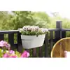 Image de Pot de fleurs Elho Vibia Campana Easy Hanger Large 46 x 24 x 26,5 cm