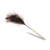 Image de Plumeau Peacock Tickler Dona