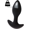 Image de Plug Anal Lesté 185g