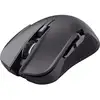 Image de Trust GXT 923 YBAR souris Droitier RF sans fil Optique 7200 DPI