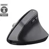 Image de Trust Bayo+ souris Droitier RF sans fil + Bluetooth Optique 2400 DPI