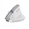 Image de Rato Semi Fio Ergonomique Trust Bayo Ii 2400 Dpi Blanc