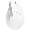 Image de Rato Semi Fio Ergonomique Trust Bayo+ 2400 Dpi Blanc