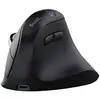 Image de Ratón Trust Vyran Sans Fil Vertical Bluetooth 4800DPI Noir Rechargeable