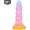 Image de Plug Anal Rainbow Canine