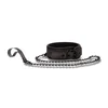 Image de Collier et Laisse Elegant
