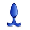 Image de Plug Anal Expert en Verre