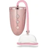 Image de Automatic Rechargeable Pussy Pump Set