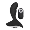 Image de Plug Prostatique N°79