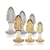Image de Coffret Plugs Anaux Glitter Acrylique