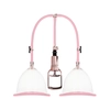 Image de Développeur de Poitrine Breast Pump Rose Gold