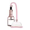 Image de Pompe à Vagin Pussy Pump Rose Gold