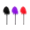 Image de Plumeau Feather