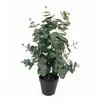 Image de Plante artificielle Present Time Eucalyptus Leaf 25x54 cm