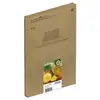 Image de Cartouche Epson 604XL Multipack Noir Cyan Magenta Jaune