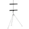 Image de One For All WM7462 Support TV sur Pieds pour Écrans 32 à 65" VESA Max 7,8Kg