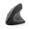 Image de Gembird MUSW-ERGO-01 souris Droitier RF sans fil Optique 1600 DPI